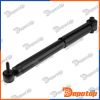 Amortisseur de suspension arrière pour RENAULT | A-RE-049, 562100018R